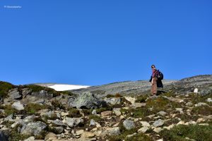 Na szlaku na Galdhopiggen - kamienie, śnieg i niebieskie niebo
