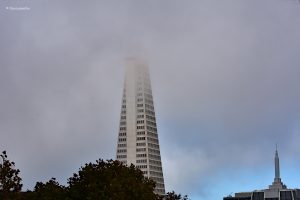 Transamerica Pyramid - najwyższy (jeszcze) budynek San Francisco