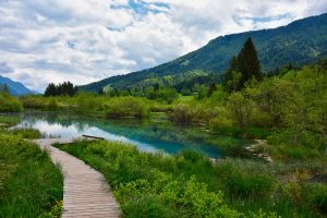 Drewniana kładka i mostek nad Jeziorem Zelenci, Słowenia