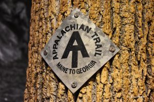 Appalachian Trail - Park Narodowy Shenandoah, USA