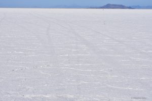 Na całej połaci ... sól, Great Salt Lake Desert