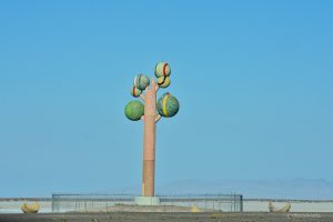 Metaphor: The Tree of Utah, Interstate 80, USA