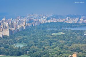 Central Park widziany z platformy kompleksu Rockefellera