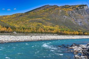 Jesienne kolory lasu i błękitna rzeka, Alaska Highway, Kanada
