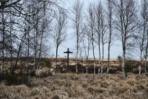Krzyż na torfowiskach - Hohes Venn, Belgia