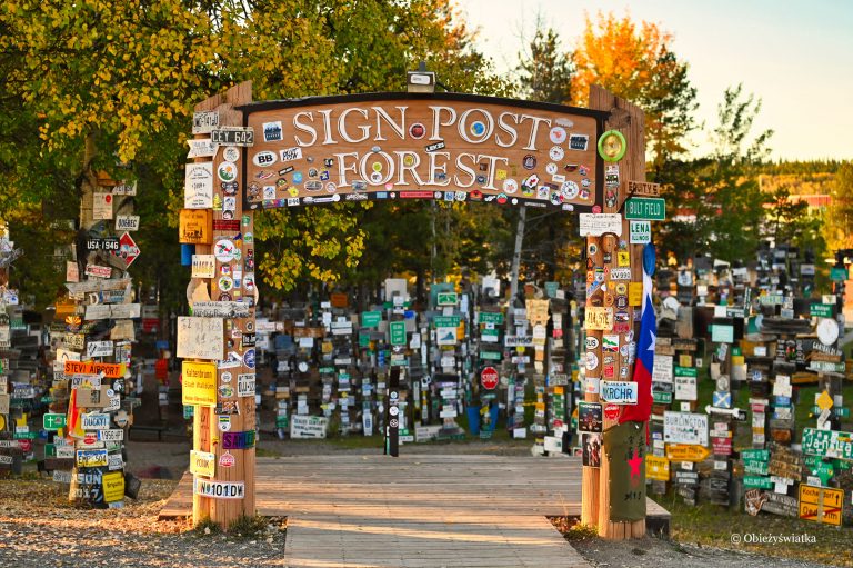 signpost forrest