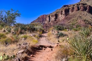Wędrując po North Kaibab Trail, Grand Canyon