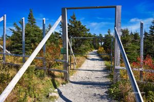 Brama dla łosi, Skyline Trail, Cabot Trail, Cape Breton, Nowa Szkocja, Kanada