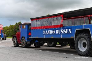 Mandø-Bussen