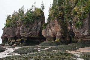 Hopewell Rocks w Nowym Brunszwiku przy odpływie, Kanada