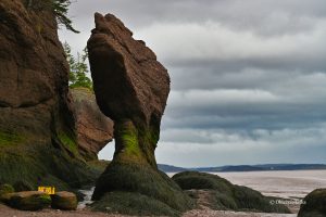 Zadziera nosa ;) - Hopewell Rocks, Nowy Brunszwik, Kanada